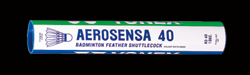 as40